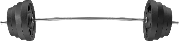 barbell